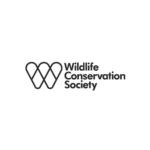 diseno-web-con-Elementor29.png